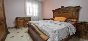 Comfy 2 Bedrooms Apartment in Cairo 98-5